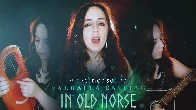 Valhǫll kallar mik (VALHALLA CALLING IN OLD NORSE) - Miracle of Sound cover by The Pagan Minstrel